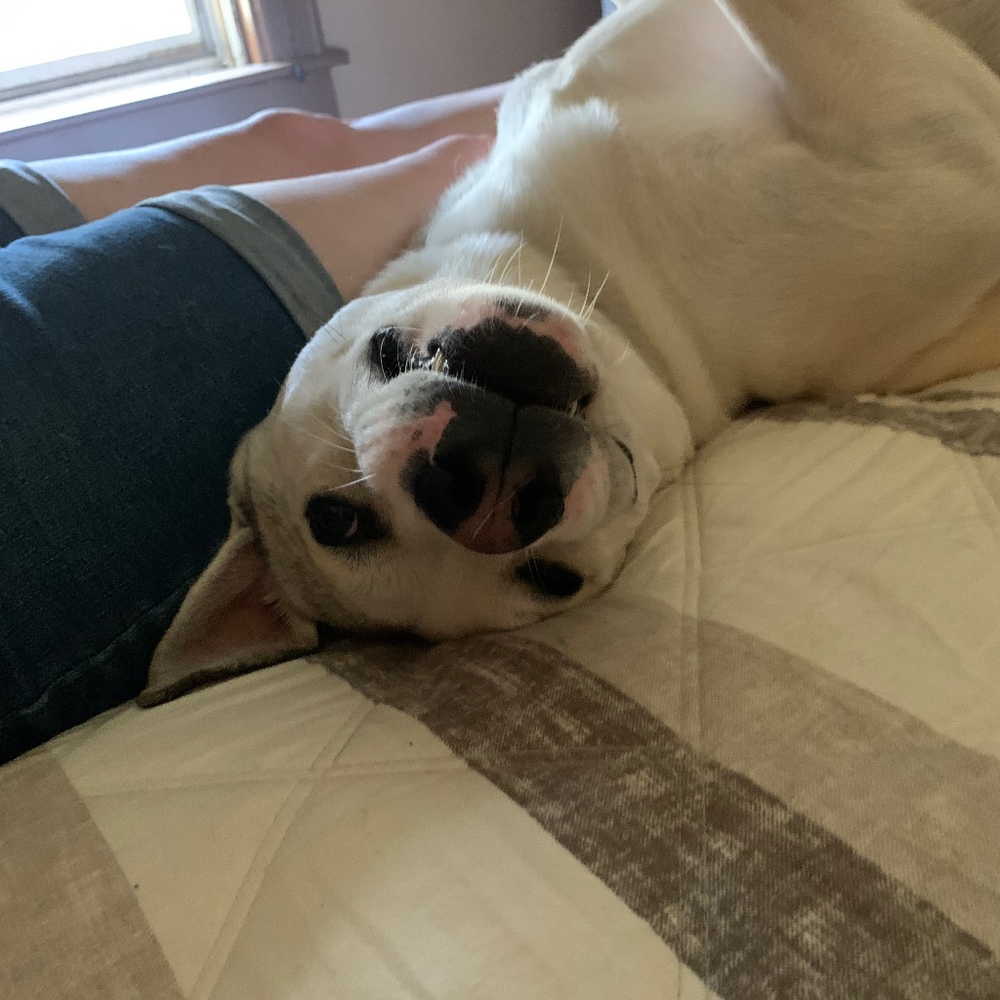 Meet your Posher, Jason